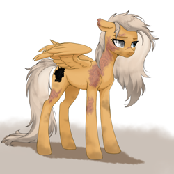 Size: 2776x2776 | Tagged: safe, artist:sierraex, derpibooru import, oc, oc only, oc:dust, pegasus, pony, pegasus oc, solo