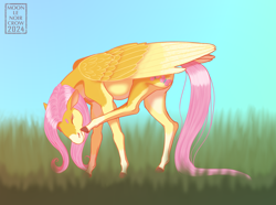 Size: 1750x1300 | Tagged: safe, artist:moonlenoircrow, derpibooru import, fluttershy, pegasus, pony, g4, beanbrows, cute, eyebrows, eyes closed, female, grass, hoers, horses doing horse things, mare, outdoors, scratching, shyabetes, signature, solo