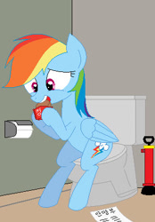 Size: 300x432 | Tagged: safe, artist:hyolark, derpibooru import, rainbow dash, pegasus, pony, g4, but why, eating, female, indoors, korean, mare, solo, tissue, toilet