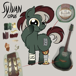 Size: 4608x4608 | Tagged: safe, artist:iamaveryrealperson, derpibooru import, oc, oc only, oc:sylvan opus, earth pony, pony, amputee, bandage, closed mouth, colored, cutie mark, doodle, earth pony oc, eyelashes, gradient hooves, guitar, hoof on cheek, looking at you, multicolored hair, multicolored mane, multicolored tail, musical instrument, name, nonbinary, nonbinary oc, photo, ponified, prosthetic leg, prosthetic limb, prosthetics, reference sheet, scar, simple background, smiling, solo, species swap, standing, tail, text