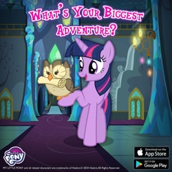 Size: 1080x1080 | Tagged: safe, derpibooru import, owlowiscious, twilight sparkle, twilight sparkle (alicorn), alicorn, bird, owl, pony, g4, app store, duo, duo male and female, female, gameloft, google play, male, mare, my little pony logo, pet, twilight's castle