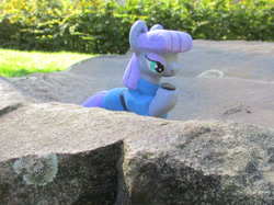 Size: 2354x1765 | Tagged: safe, alternate version, artist:malte279, derpibooru import, part of a set, boulder (pet), maud pie, earth pony, pony, g4, concrete, craft, female, mare, outdoors, sculpture, solo, ytong