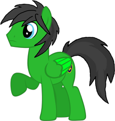 Size: 3176x3336 | Tagged: safe, artist:star-armour95, derpibooru import, oc, oc only, oc:star armour, pegasus, g4, male, simple background, solo, transparent background