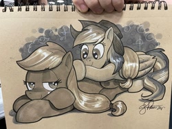 Size: 2048x1536 | Tagged: safe, artist:andypriceart, derpibooru import, applejack, rainbow dash, earth pony, pegasus, pony, g4, accessory theft, applejack's hat, clothes, cowboy hat, duo, duo female, female, hat, mare, traditional art