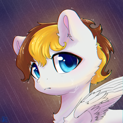 Size: 1200x1200 | Tagged: safe, artist:b_m, derpibooru import, oc, oc only, oc:白冥, pegasus, pony, chest fluff, ear fluff, ears, fluffy, male, rain, sad, solo, wings