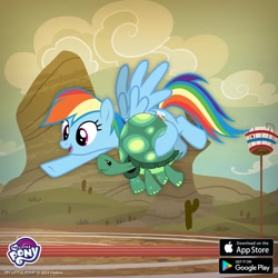 Size: 1080x1080 | Tagged: safe, derpibooru import, rainbow dash, tank, pegasus, pony, tortoise, buckball field, duo, female, flying, gameloft, holding a tortoise, male, mare, outdoors