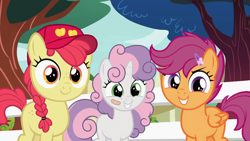 Size: 1276x718 | Tagged: safe, derpibooru import, edit, edited screencap, editor:anonymous, screencap, apple bloom, scootaloo, sweetie belle, earth pony, pegasus, pony, unicorn, g4, marks for effort, adorabloom, alternate hairstyle, bandaid, baseball cap, blank flank, braid, braided pigtails, cap, cute, cutealoo, cutie mark crusaders, diasweetes, female, fence, filly, foal, freckles, hairclip, hat, horn, looking at you, messy mane, outdoors, pigtails, poofy hair, poofy mane, smiling, smiling at you, tomboy, tree, trio