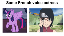 Size: 1920x1080 | Tagged: safe, edit, edited screencap, screencap, twilight sparkle, twilight sparkle (alicorn), alicorn, human, pony, twilight's kingdom, boruto the movie, claire tefnin, french, same voice actor, sarada uchiha