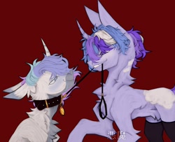 Size: 1204x980 | Tagged: safe, artist:yuvi, derpibooru import, oc, oc only, oc:lyra snowheart, oc:yuvi, pony, unicorn, chest fluff, clothes, collar, dominant, duo, duo male and female, female, femdom, horn, looking at each other, looking at someone, male, mare, pet play, simple background, smiling, socks, stallion, watermark