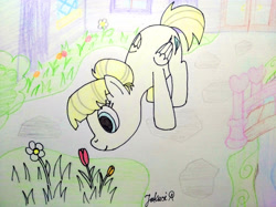 Size: 4032x3016 | Tagged: safe, artist:jakusi, derpibooru import, summer breeze, pegasus, pony, g4, background pony, female, flower, friendship student, garden, grass, hair bun, leaning, mare, school of friendship, signature, smelling, solo, traditional art, tulip