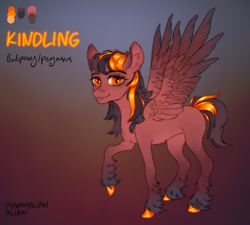 Size: 3044x2740 | Tagged: safe, artist:mammalian_alien, derpibooru import, oc, oc only, oc:kindling, pegasus, pony, colored wings, ear fluff, ears, fangs, glowing mane, gradient wings, hoof polish, raised hoof, raised leg, reference sheet, slit eyes, solo, spread wings, unshorn fetlocks, wings