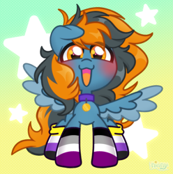 Size: 2231x2246 | Tagged: safe, artist:ninnydraws, derpibooru import, oc, oc only, oc:skittle, pegasus, pony, asexual pride flag, chibi, clothes, gradient background, nonbinary pride flag, pegasus oc, pride, pride flag, pride socks, socks, solo, starry background, wings