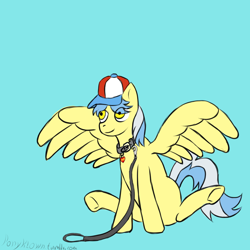 Size: 1000x1000 | Tagged: safe, artist:ponyklown, derpibooru import, pegasus, pony, g4, baseball cap, blue background, cap, collar, cyan background, hat, leash, pet play, simple background, sitting, smiling, solo, spread wings, tracy flash, underhoof, wings