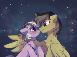 Size: 2323x1721 | Tagged: safe, artist:mirtash, derpibooru import, oc, oc only, earth pony, pegasus, pony