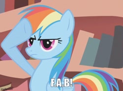 Size: 578x431 | Tagged: safe, derpibooru import, edit, edited screencap, screencap, rainbow dash, pegasus, pony, dragonshy, g4, caption, cropped, golden oaks library, image macro, imgflip, indoors, my little pony: friendship is magic, rainbow dash salutes, reference to another series, solo, text, thunderbirds