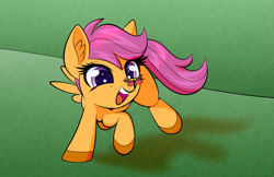 Size: 1333x866 | Tagged: safe, artist:scandianon, derpibooru import, scootaloo, butterfly, pegasus, pony, g4, butterfly on nose, cute, cutealoo, female, filly, foal, happy, insect on nose, outdoors, running, smiling, spread wings, wings