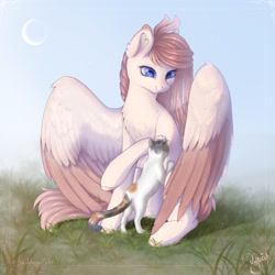 Size: 1920x1920 | Tagged: safe, artist:fasutell-a, artist:maravor, derpibooru import, oc, oc only, oc:vanilla ray, cat, pegasus, pony, colored wings, female, grass, looking at something, looking down, mare, outdoors, sitting, solo, two toned wings, wings