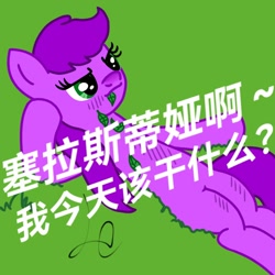 Size: 1080x1080 | Tagged: safe, derpibooru import, oc, oc only, pony, chinese, grass, grass field