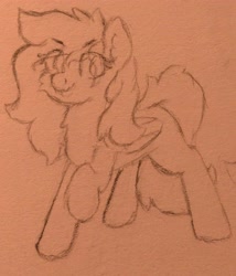 Size: 3728x4351 | Tagged: safe, artist:harmonicglow, derpibooru import, oc, oc:dusty, pegasus, female, mare, pegasus oc, pencil drawing, sketch, traditional art