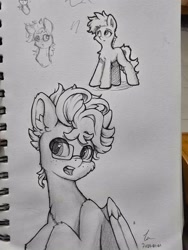 Size: 3000x4000 | Tagged: safe, artist:zeepheru, derpibooru import, oc, oc only, oc:zeph, earth pony, pegasus, pony, female, male, mare, monochrome, sketch, stallion, traditional art