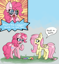 Size: 1780x1941 | Tagged: safe, artist:inked-dee, derpibooru import, fluttershy, pinkie pie, earth pony, pegasus, pony, snake, g4, dialogue, duo, duo female, female, mare, speech bubble, starry eyes, wingding eyes