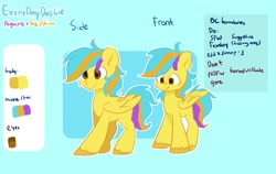 Size: 1264x800 | Tagged: safe, artist:skylinepony_, derpibooru import, oc, oc only, oc:everydaydashie, pegasus, pony, reference sheet, solo, wings