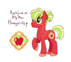 Size: 1480x1280 | Tagged: safe, artist:proficdroid, derpibooru import, oc, oc only, oc:honeycrisp, earth pony, pony, character name, cutie mark, freckles, male, offspring, parent:applejack, parent:big macintosh, parents:applemac, ponytail, product of incest, reference sheet, simple background, solo, unshorn fetlocks, white background