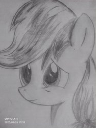 Size: 3000x4000 | Tagged: safe, derpibooru import, pony, monochrome, solo, traditional art