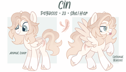 Size: 2757x1569 | Tagged: safe, artist:cinnamontee, derpibooru import, oc, oc:cin, pegasus, pony, female, glasses, mare, reference sheet, solo, tongue, tongue out