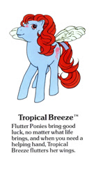 Size: 550x1000 | Tagged: safe, derpibooru import, flutter pony, pegasus, pony, g1, bow, cute, female, g1 backstory, mare, my little pony fact file, official, open mouth, open smile, smiling, solo, tail, tail bow, text, tropical breeze, tropicalbetes