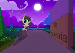 Size: 2895x2048 | Tagged: safe, artist:n', derpibooru import, oc, oc only, oc:anon filly, oc:beefilly, bee, bee pony, original species, pony, female, filly, foal, looking back, moon, night, outdoors, sign, solo, stars, text