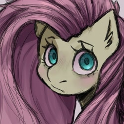 Size: 2000x2000 | Tagged: safe, artist:samirachuni, derpibooru import, part of a set, fluttershy, pony, g4, bust, female, frown, high res, looking at you, portrait, simple background, solo