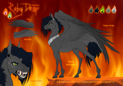 Size: 3000x2100 | Tagged: safe, artist:dementra369, derpibooru import, oc, oc only, oc:ruby drop, pegasus, pony, pegasus oc, psychopath, reference sheet, solo