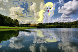 Size: 1615x1080 | Tagged: artist needed, source needed, safe, derpibooru import, derpy hooves, pegasus, pony, g4, big pony, outdoors, poland, solo