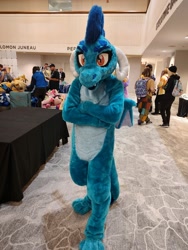 Size: 1500x2000 | Tagged: safe, derpibooru import, princess ember, g4, fursuit, indoors, irl, photo, ponyville ciderfest, solo focus