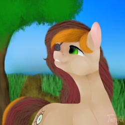 Size: 1500x1500 | Tagged: safe, artist:dorry, derpibooru import, oc, oc only, earth pony, pony, earth pony oc, eyepatch, female, female oc, grass, grass field, green eyes, looking up, mare, mare oc, old art, outdoors, tree