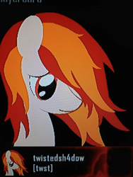 Size: 768x1024 | Tagged: safe, artist:torin17, derpibooru import, photographer:torin17, oc, oc only, oc:ember star, earth pony, pony, black background, call of duty, call of duty: black ops 2, earth pony oc, emblem, emblem editor, female, looking away, mare, orange mane, red eyes, red mane, screenshots, shy, simple background, solo, white coat, xbox 360