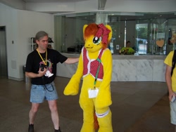 Size: 2304x1728 | Tagged: safe, artist:atalonthedeer, derpibooru import, oc, oc:canni soda, human, 2013, fursuit, galacon, irl, irl human, photo, ponysuit