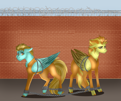 Size: 3000x2500 | Tagged: safe, artist:inisealga, derpibooru import, lightning dust, spitfire, pegasus, pony, g4, barbed wire, bound wings, brick wall, chained, chains, clothes, commissioner:rainbowdash69, cuffed, duo, duo female, female, mare, never doubt rainbowdash69's involvement, prison outfit, prisoner, shackles, wings