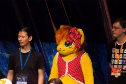 Size: 5184x3456 | Tagged: safe, artist:atalonthedeer, derpibooru import, oc, oc:canni soda, human, 2014, fursuit, galacon, indoors, irl, irl human, photo, ponysuit, trio