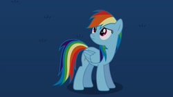 Size: 2560x1440 | Tagged: safe, derpibooru import, rainbow dash, pegasus, pony, g4, looking up, night, outdoors, solo