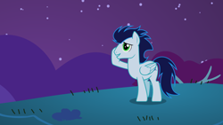 Size: 2560x1440 | Tagged: safe, derpibooru import, screencap, soarin', pegasus, pony, g4, night, outdoors, shy, smiling, solo