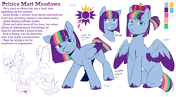 Size: 5280x2919 | Tagged: safe, artist:l211art, derpibooru import, oc, oc only, oc:matt meadows, pony, colt, crown, cutie mark, foal, jewelry, male, reference sheet, regalia, simple background, smiling, text, tooth gap, white background