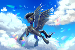 Size: 3708x2480 | Tagged: safe, artist:teaflower300, derpibooru import, oc, oc only, pegasus, pony, belly, chest fluff, commission, digital painting, high res, looking at you, open mouth, open smile, outdoors, pegasus oc, smiling, smiling at you, solo, speedpaint available, spread wings, unshorn fetlocks, wings, ych result