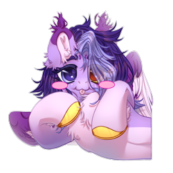 Size: 2500x2500 | Tagged: safe, artist:medkit, derpibooru import, oc, oc only, oc:wendy levitar, pegasus, pony, :3, :p, big eyes, blushing, chest fluff, colored belly, colored ear fluff, colored eartips, colored eyebrows, colored eyelashes, colored hooves, colored lineart, colored pupils, colored sketch, colored wings, colored wingtips, ear cleavage, ear fluff, ears, ears up, eye clipping through hair, eyebrows, eyebrows visible through hair, eyelashes, facial markings, feathered wings, female, freckles, gift art, gold hooves, gradient hooves, hair over one eye, half body, heart ears, heart shaped, heterochromia, high res, hoof fluff, hoof to cheek, hooves, horseshoes, lightly watermarked, lying down, mare, multicolored coat, partially open wings, shading, short hair, signature, simple background, sketch, solo, tassels, tongue, tongue out, transparent background, two toned mane, wall of tags, watermark, wings