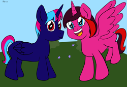 Size: 3738x2553 | Tagged: safe, artist:wrath-marionphauna, derpibooru import, oc, oc only, alicorn, pony, commission, outdoors, siblings, smiling, spread wings, wings