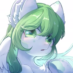 Size: 1920x1920 | Tagged: safe, artist:akita, derpibooru import, oc, oc only, oc:jademoon, pegasus, pony, big ears, ears, female, green eyes, looking at you, simple background, solo, spread wings, white background, wings