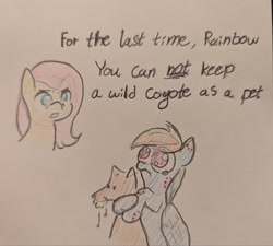 Size: 2048x1841 | Tagged: safe, artist:manicpanda, derpibooru import, fluttershy, rainbow dash, coyote, pegasus, pony, g4, big eyes, bite mark, colored pencil drawing, cute, dialogue, duo, duo female, female, foaming at the mouth, frown, mare, rainbow dumb, sad, sadorable, teary eyes, traditional art, wavy mouth