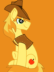 Size: 768x1024 | Tagged: safe, artist:cosmicartist-2000, derpibooru import, braeburn, earth pony, pony, g4, clothes, eye clipping through hair, hat, head turn, male, old art, orange background, simple background, sitting, solo, stallion, vest