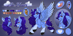 Size: 6000x3000 | Tagged: safe, artist:dewdropinn, derpibooru import, oc, oc only, oc:airheart, pegasus, pony, braid, coat markings, colored legs, ear fluff, ears, facial scar, gradient background, hair over one eye, hooves, jewelry, locket, male, necklace, ponytail, reference sheet, scar, socks (coat marking), solo, spread wings, stallion, wings